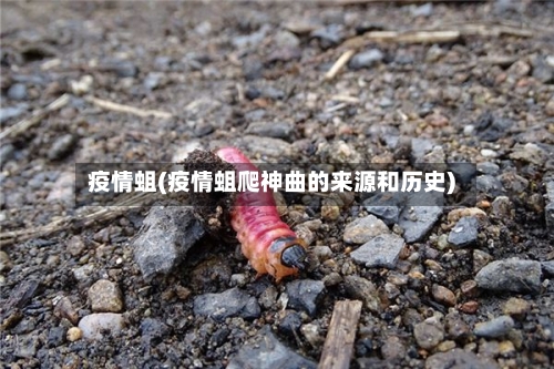 疫情蛆(疫情蛆爬神曲的来源和历史)-第1张图片