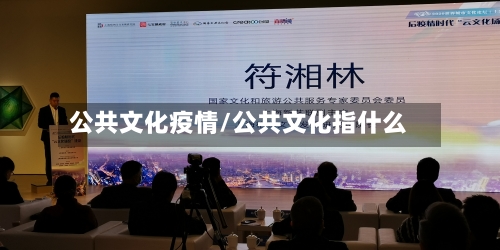 公共文化疫情/公共文化指什么-第2张图片