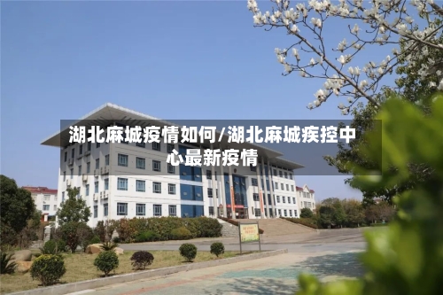 湖北麻城疫情如何/湖北麻城疾控中心最新疫情-第2张图片