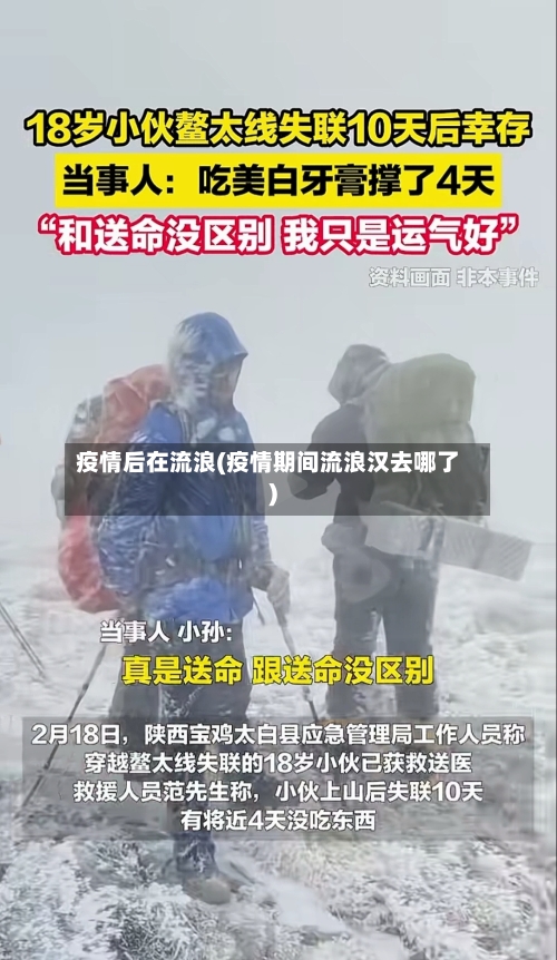 疫情后在流浪(疫情期间流浪汉去哪了)-第1张图片