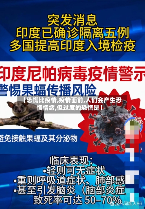 【恐慌比疫情,疫情面前,人们会产生恐慌情绪,但过度的恐慌是】-第2张图片