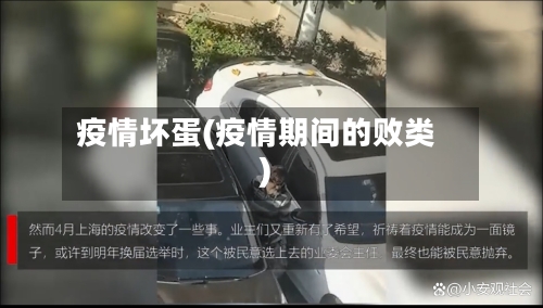 疫情坏蛋(疫情期间的败类)-第2张图片