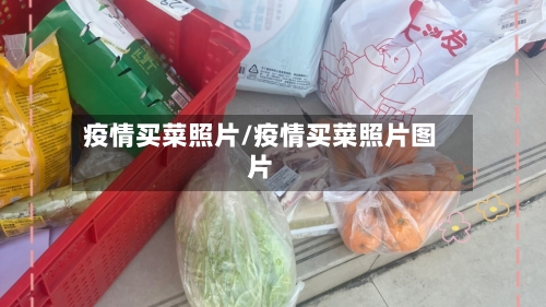 疫情买菜照片/疫情买菜照片图片-第1张图片