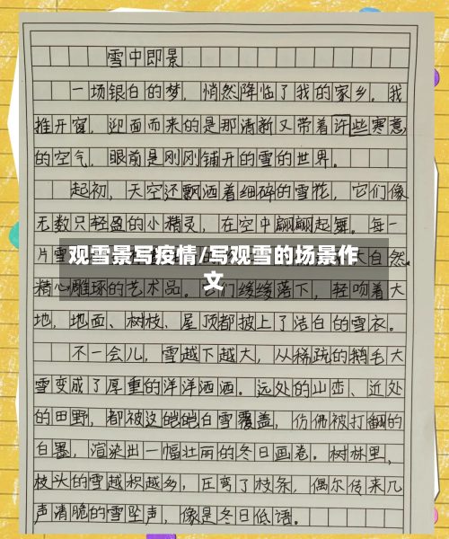 观雪景写疫情/写观雪的场景作文-第1张图片