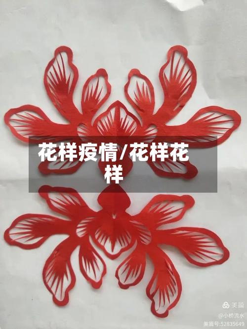 花样疫情/花样花样-第2张图片