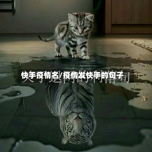 快手疫情名/疫情发快手的句子-第2张图片