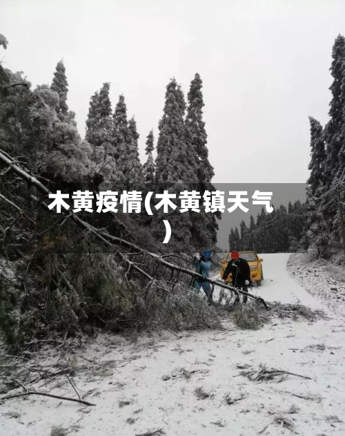 木黄疫情(木黄镇天气)-第1张图片