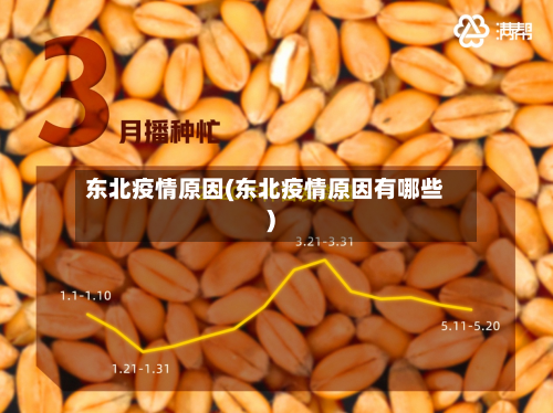 东北疫情原因(东北疫情原因有哪些)-第2张图片