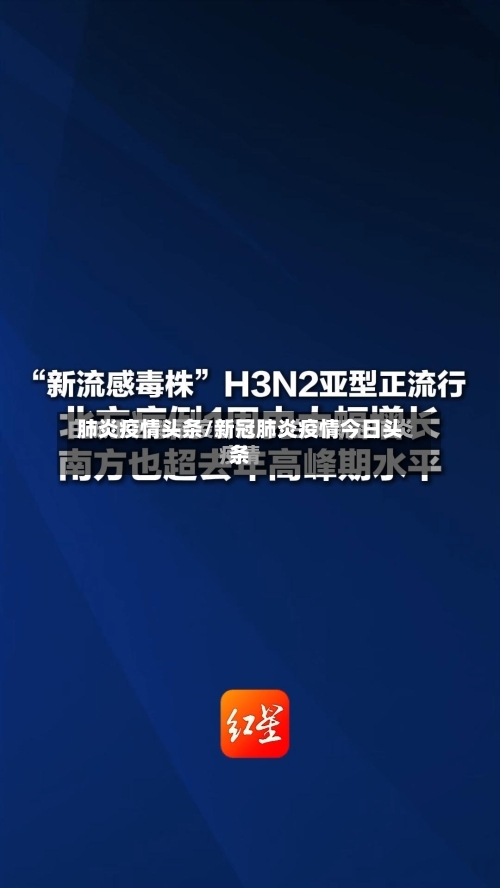 肺炎疫情头条/新冠肺炎疫情今日头条-第3张图片