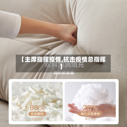 【主席指挥疫情,抗击疫情总指挥】-第2张图片