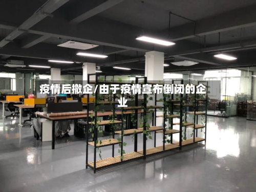 疫情后撤企/由于疫情宣布倒闭的企业-第3张图片