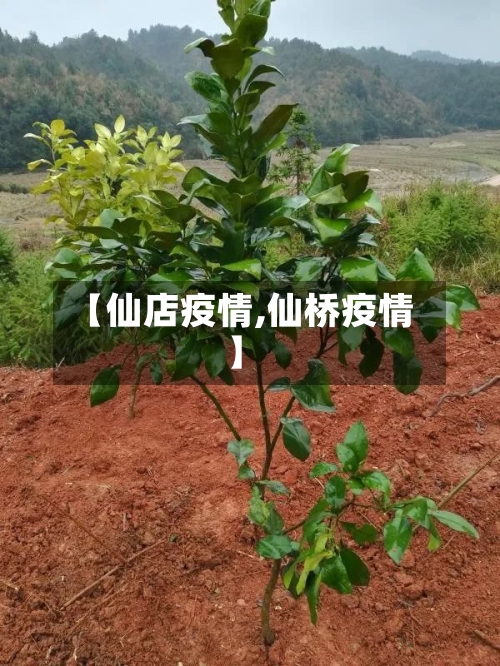 【仙店疫情,仙桥疫情】-第2张图片