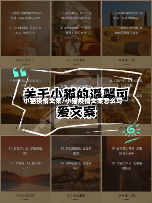 小猫疫情文案/小猫疫情文案怎么写-第1张图片