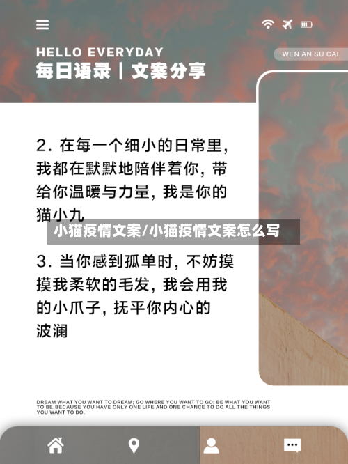 小猫疫情文案/小猫疫情文案怎么写-第2张图片