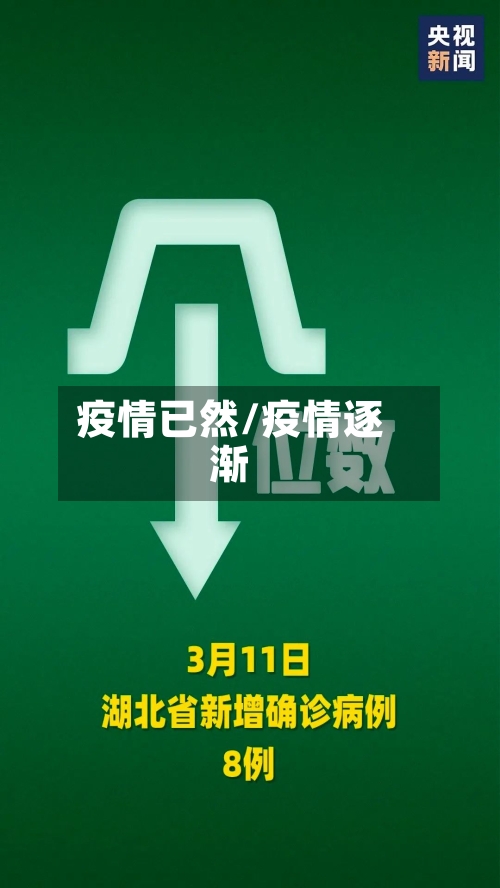 疫情已然/疫情逐渐-第1张图片