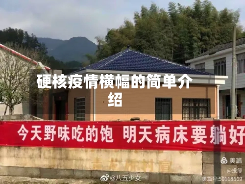 硬核疫情横幅的简单介绍-第1张图片