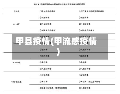 甲县疫情(甲流感疫情)-第1张图片