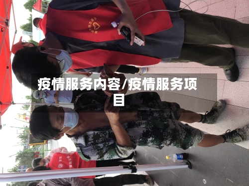 疫情服务内容/疫情服务项目-第2张图片
