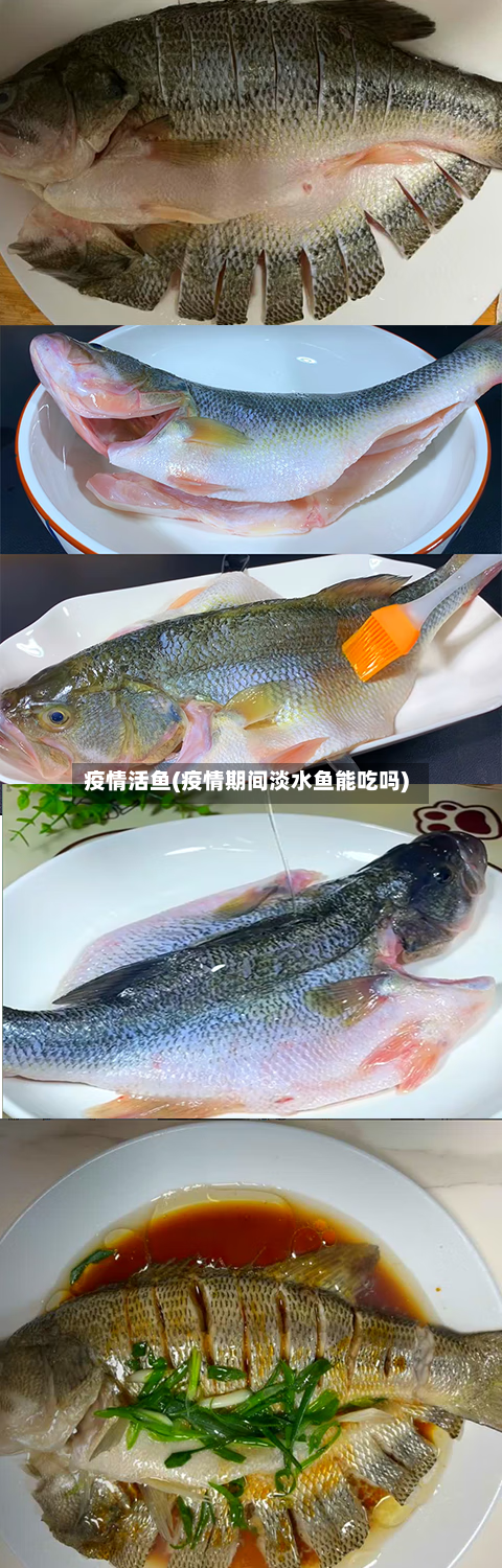 疫情活鱼(疫情期间淡水鱼能吃吗)-第1张图片