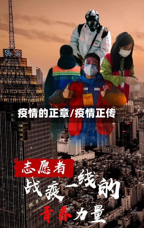 疫情的正章/疫情正传-第2张图片
