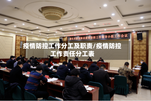 疫情防控工作分工及职责/疫情防控工作责任分工表-第3张图片